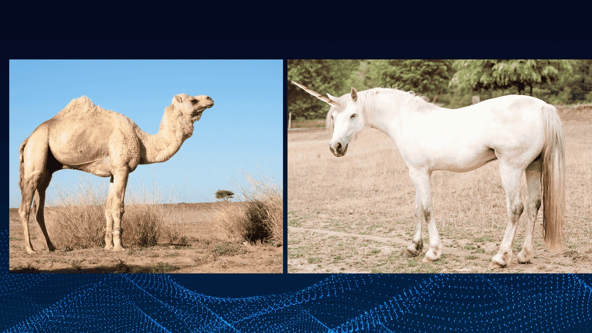 Bukan Lagi Unicorn: Bangun Startup Tahan Banting ala ‘Unta’