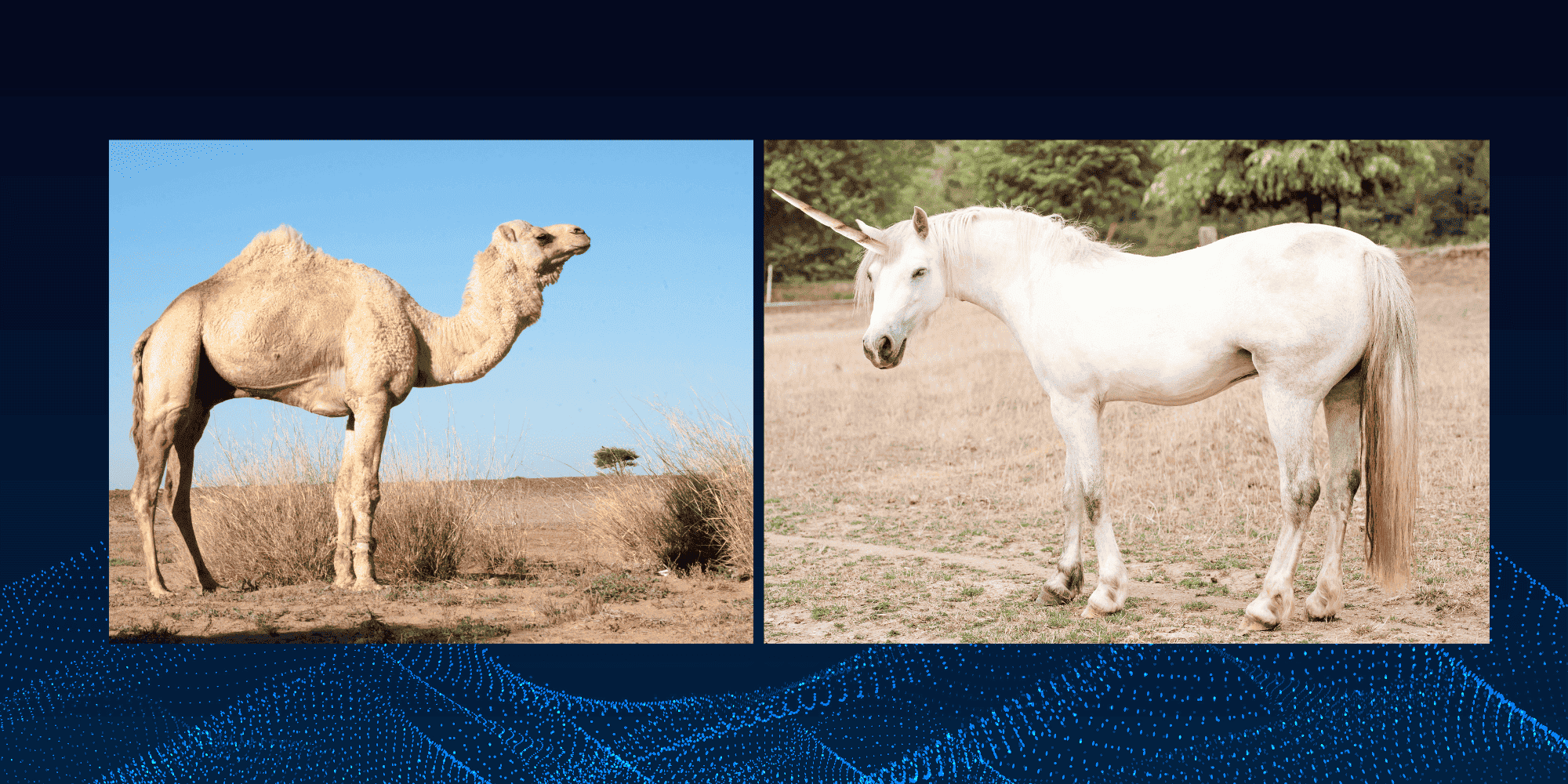 Bukan Lagi Unicorn: Bangun Startup Tahan Banting ala ‘Unta’