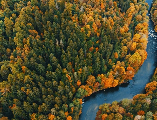 5 Tools AI untuk OKR yang Cocok Startup Indonesia (2026)